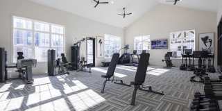 Waterleaf at Cold Springs Gallery 9