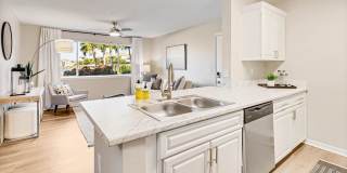 Lexington Palms at the Forum Gallery 7