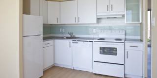 825 Dahlia Gallery 11