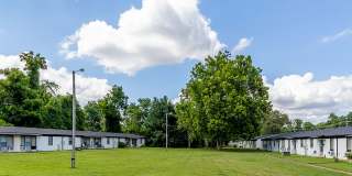 The Lily Grace Apartments Gallery 8