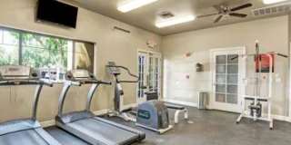 Paradise Falls Gallery 15