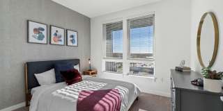 The Point at Woburn Gallery 5