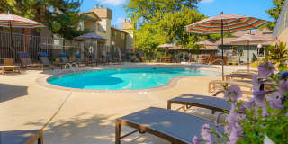 Sofi Belmar Gallery 17