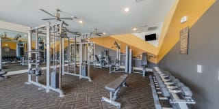 Palmetto Pointe Gallery 13