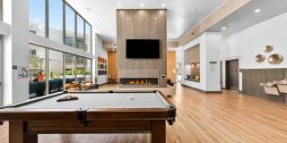 The Elinor Gallery 17