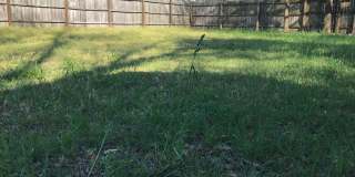 1001 South 8th St, Lillington, NC  27546 Gallery 81