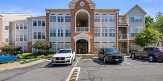 Charming 3BD/2BA in Island Creek Gallery 1
