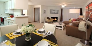 Tanglewood Gallery 25