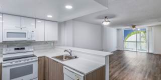 Lago Club Apartments Gallery 5