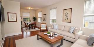 1916 S HABANA AVENUE Gallery 1