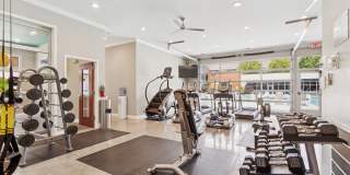 Encore North Gallery 18