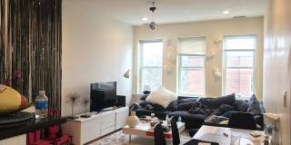 Huge, updated, sunny 5 bed in Coolidge Corner for 9/1! Gallery 15