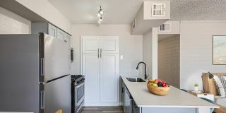 Rise Biltmore Gallery 3