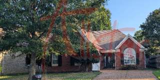 2894 Dawkins Dr Southaven, MS Gallery 1