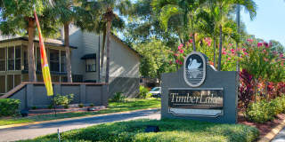 TimberLake Gallery 32