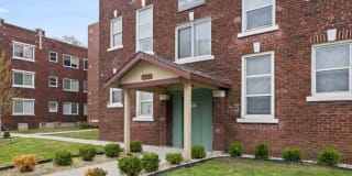 Brushwood Brushwood Gallery 5