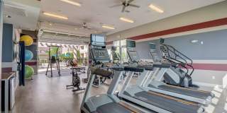 Springs at Hamburg Gallery 17