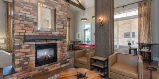 Red Knot at Edinburgh Gallery 23