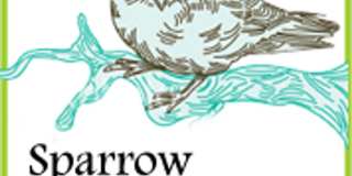 Sparrow 1/1 Gallery 1