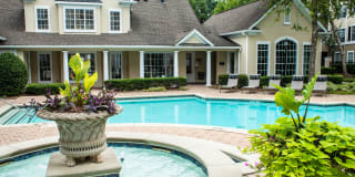 Paces Park Gallery 12