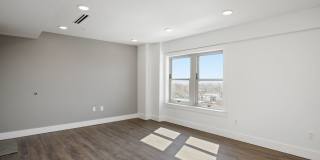 Netherland Gallery 24