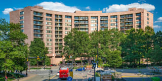 Crystal Place Gallery 75