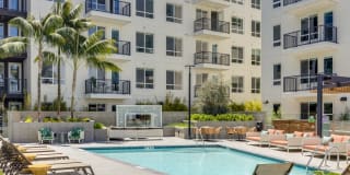 Bradbury at The Society Gallery 1