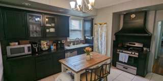 74 Bayswater Gallery 10
