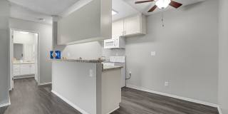 Tierra Del Sol Gallery 57