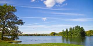 113 Harbor Point Gallery 18