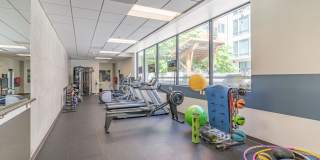 The Prescott Gallery 23