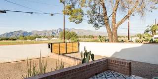FARM VIEW BUNGALOW across from UofA Campus Farm! Available Today! Gallery 32