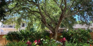 The Boulevard Gallery 37