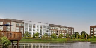 Arcadia Dr. Phillips Arcadia Dr. Phillips Gallery 19