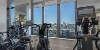 The Smith Gallery 56