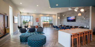 One 305 Central Gallery 15