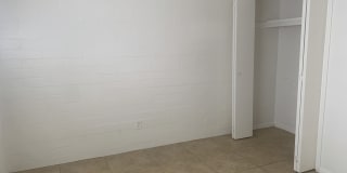Palm Garden Gallery 28