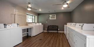 Mountain View Gallery 8