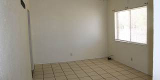 10736 OBSIDIAN Gallery 4