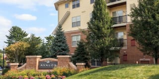 Avalon at Chestnut Hill Gallery 42