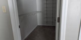 1408 Summertree Springs Avenue Gallery 5