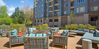 Echo Lake Gallery 26