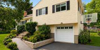 51 White Terrace Gallery 1