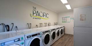 The Pacific at Mission Bay Gallery 103