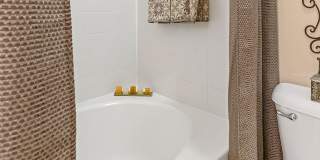 Spring Brook Gallery 19