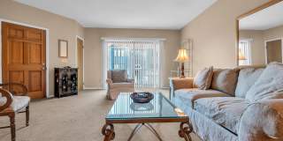 4 Black Pine Lane Gallery 8