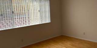 5533 Spanish Oak Ln Gallery 7
