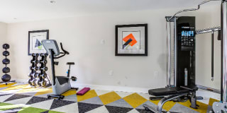 Avana Gilbert Gallery 16