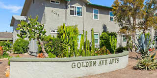 Studio in Golden Avenue community - comes with AC, parking, laundry onsite! Gallery 1