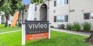 Vivleo Gallery 2